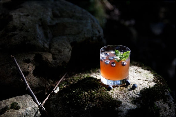 Blueberry Rhubarb Smash - Herbal Revolution