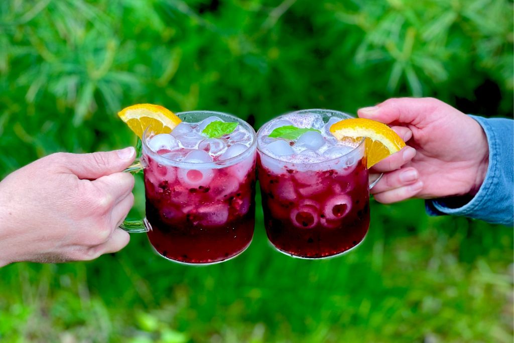 Two women's hands cheersing two glasses with handles.  Each glass has a bright purple liquid in it with circular tube ice cubes.  Orange slice and fresh basil garnish.  Green plants and dark forest faded in the background.