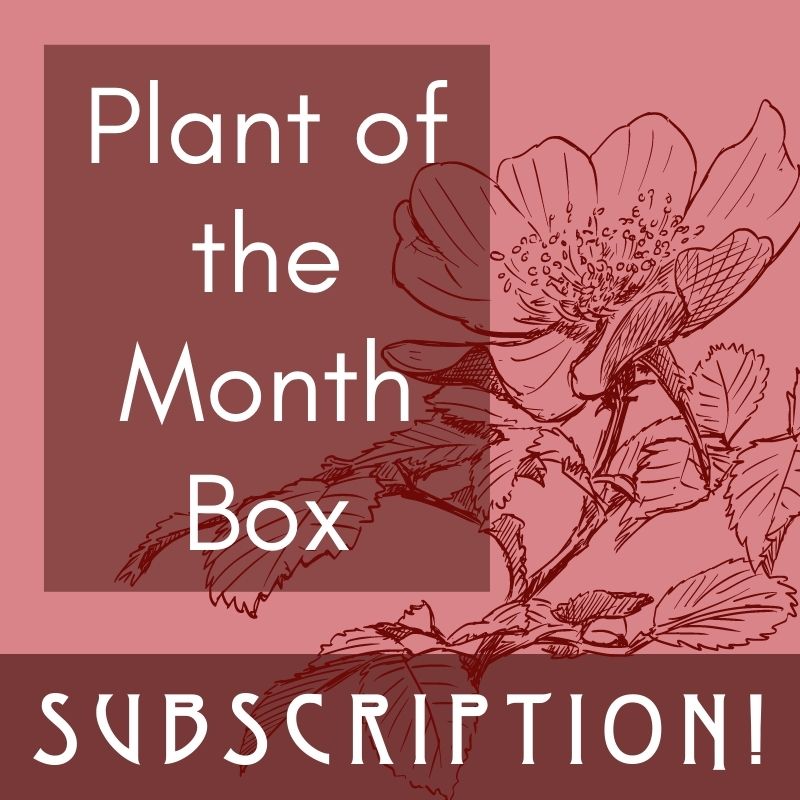 Plant of the Month Box Subscription