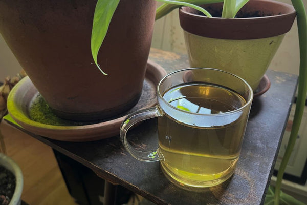 The Knockout - Herbal Revolution