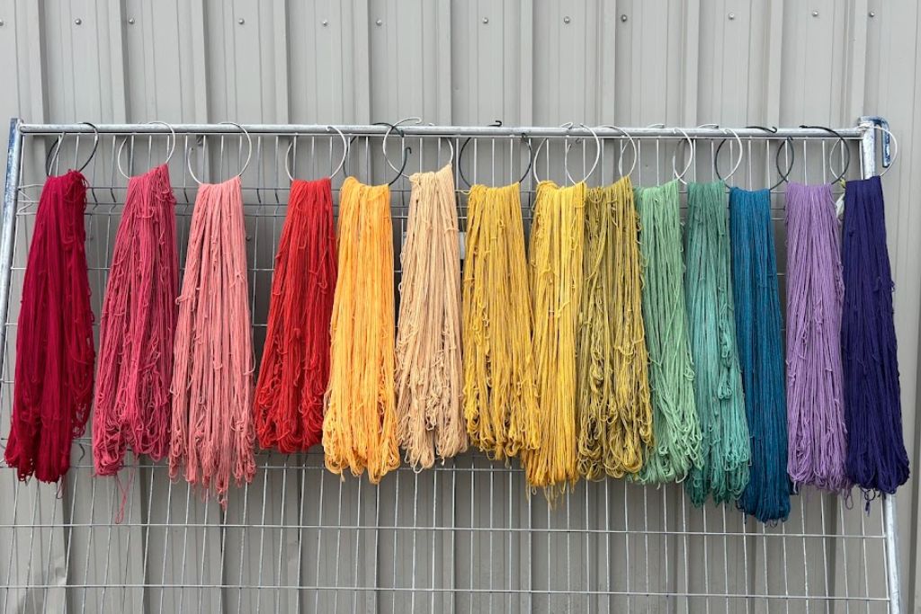 Dyeing with Medicinal Plants