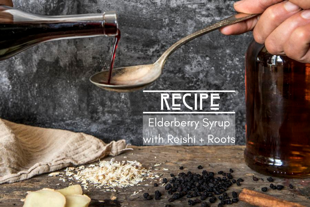 Elderberry Syrup with Reishi + Roots