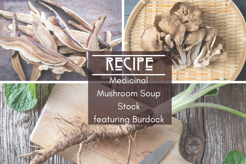 Medicinal Mushroom Soup Stock – featuring Burdock
