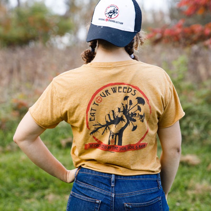 
    Merch
  