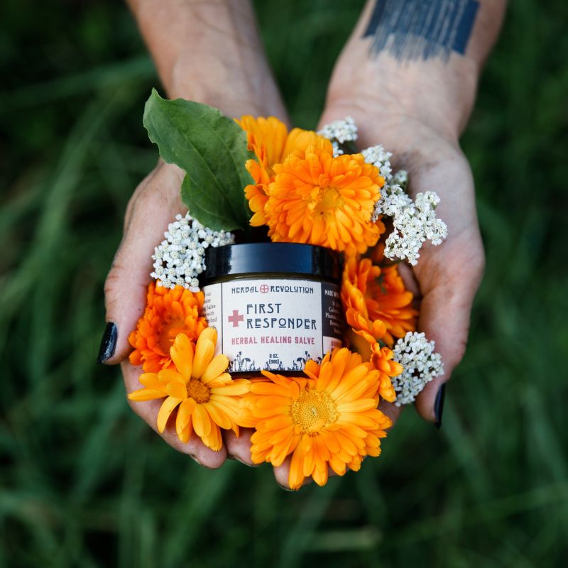 
    Small Batch + Seasonal
  