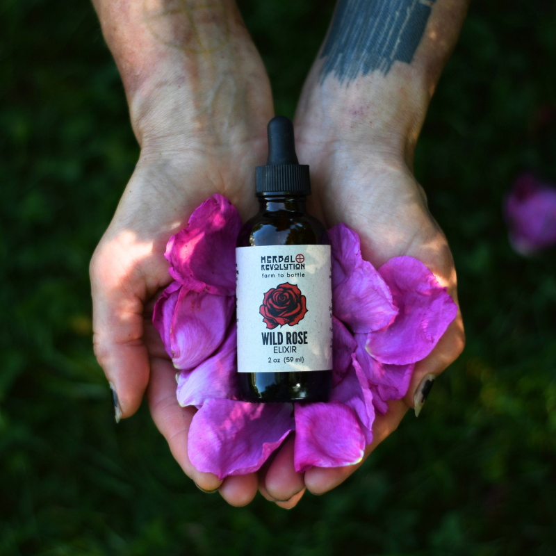 Wild Rose Elixir