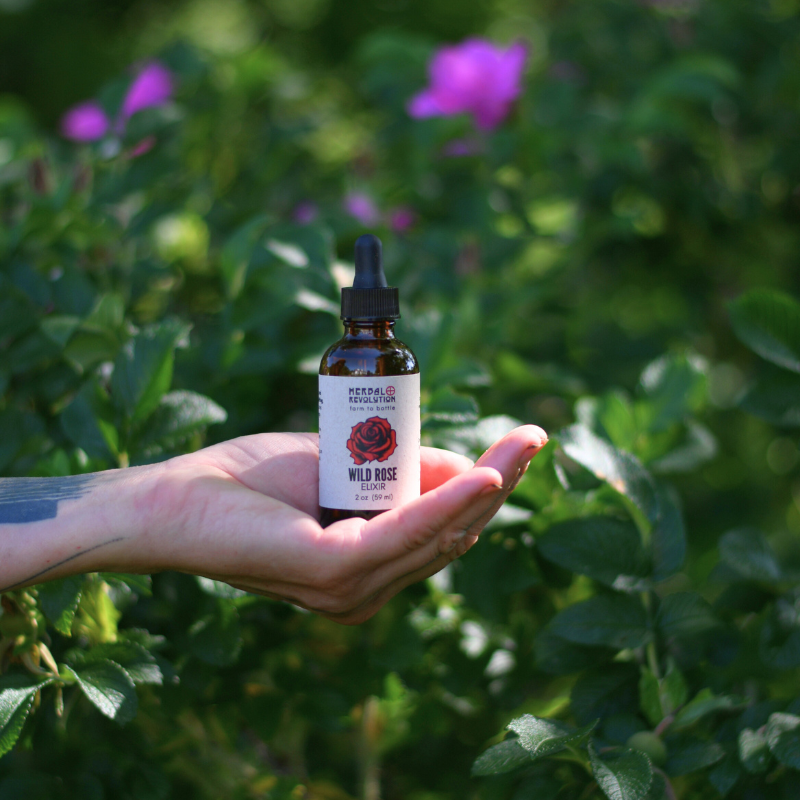 Wild Rose Elixir
