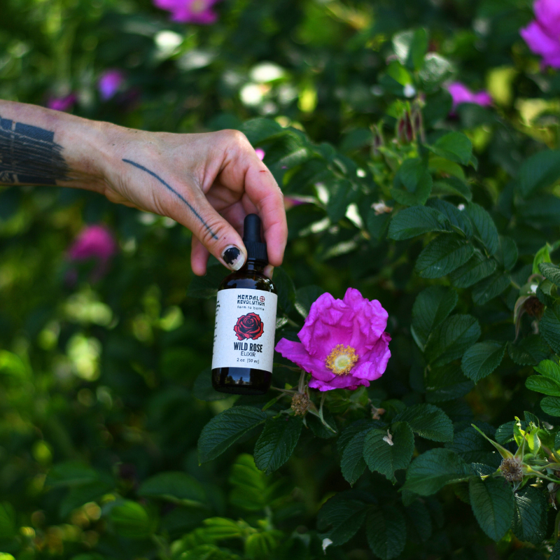 Wild Rose Elixir