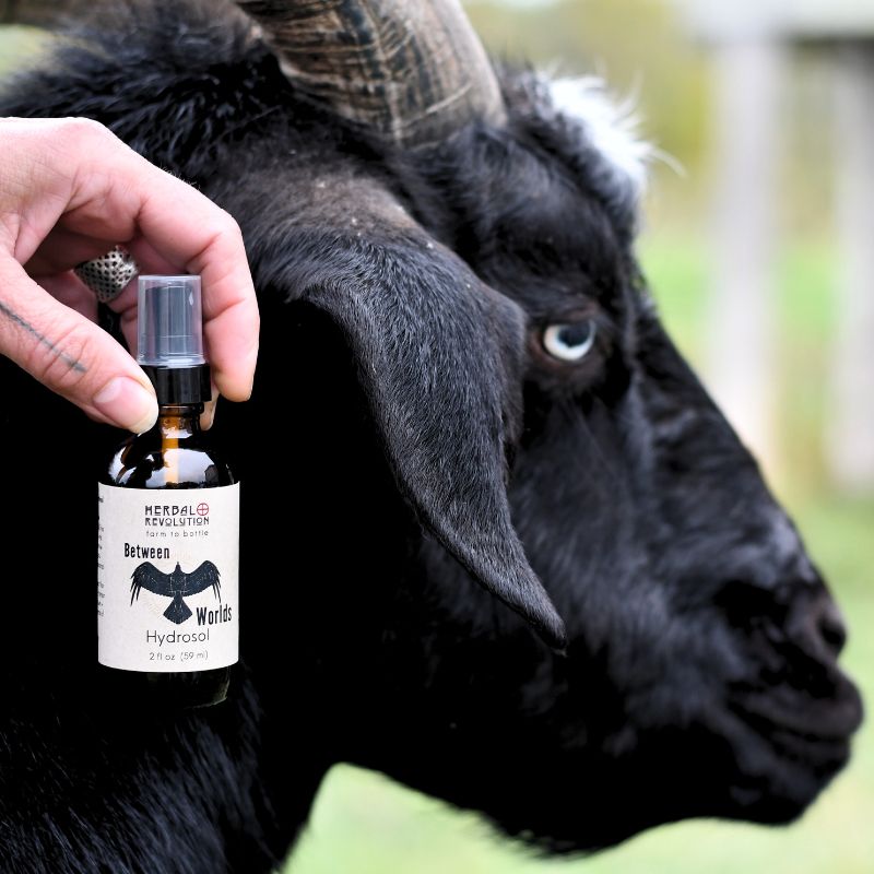 Between Worlds Herbal Hydrosol