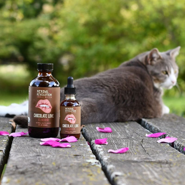 Chocolate Love EliXXXir - Herbal Revolution