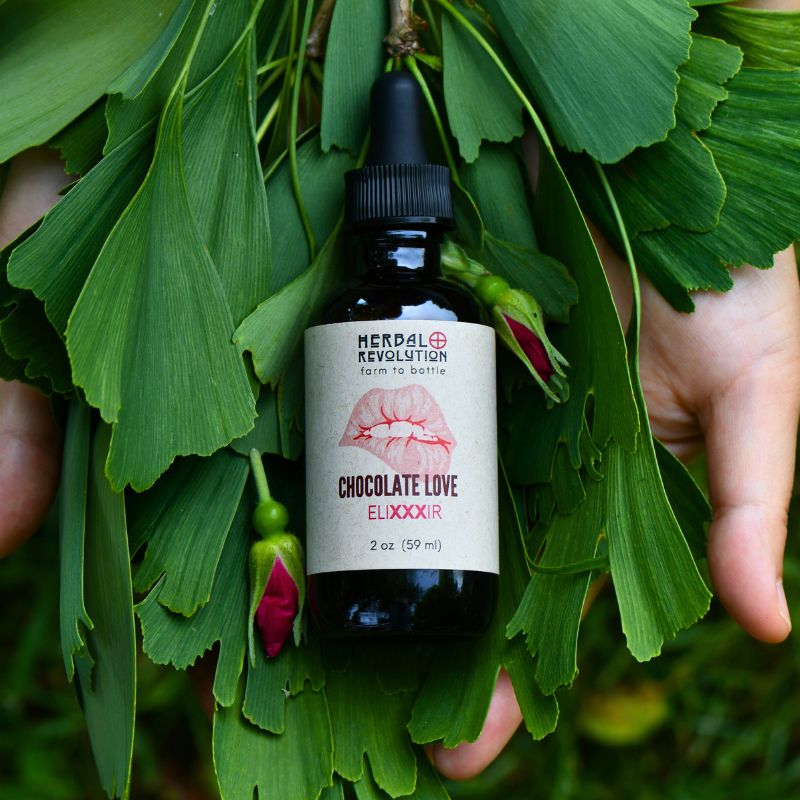 Chocolate Love EliXXXir