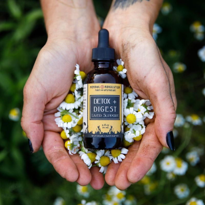 Go With Your Gut Detox + Digest Elixir