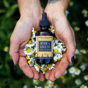 Go With Your Gut Detox + Digest Elixir