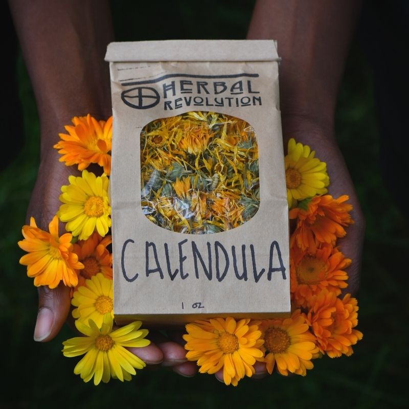 Dried Calendula Flowers