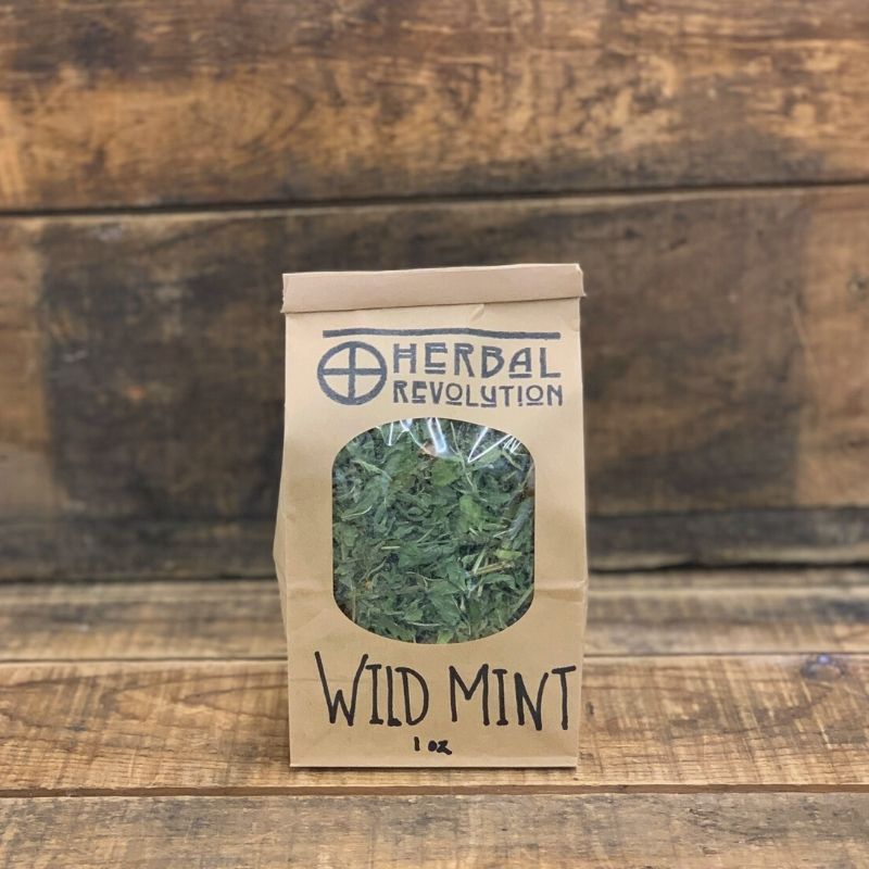 Dried Wild Mint