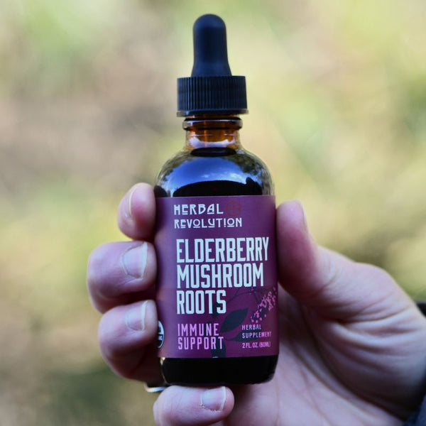 Elderberry Mushroom + Roots Elixir - Herbal Revolution