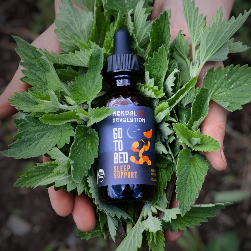 Go to Bed Sleep Support Elixir