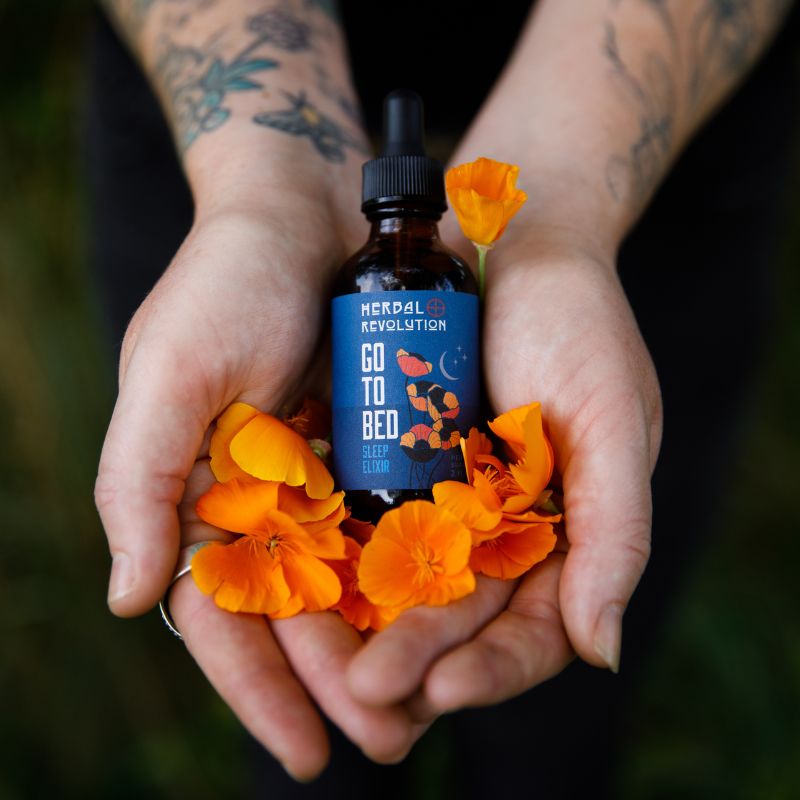 Go to Bed Sleep Support Elixir