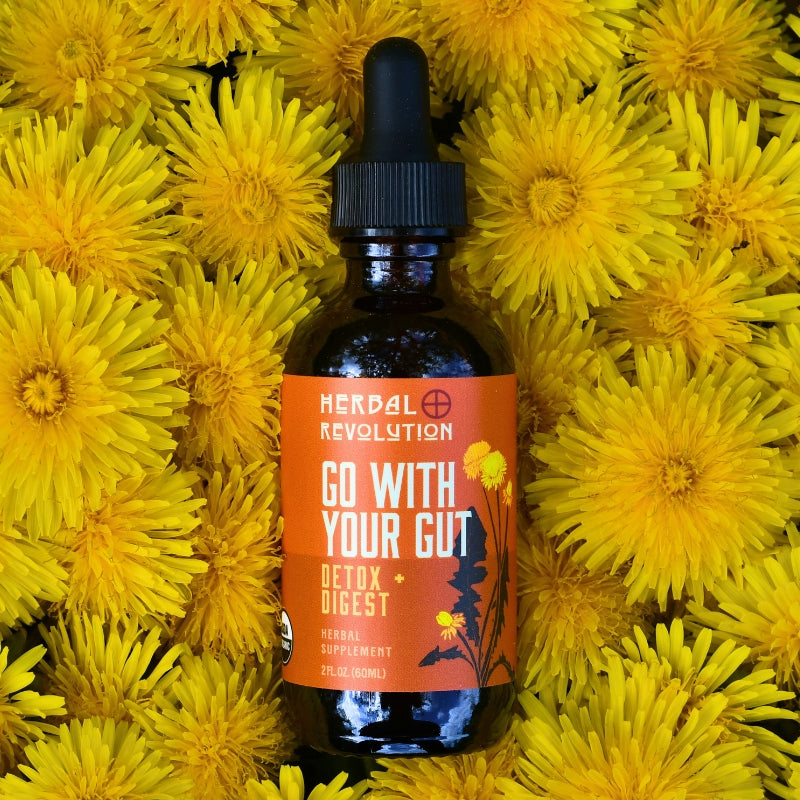 Go With Your Gut Detox + Digest Elixir