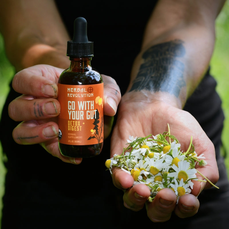 Go With Your Gut Detox + Digest Elixir