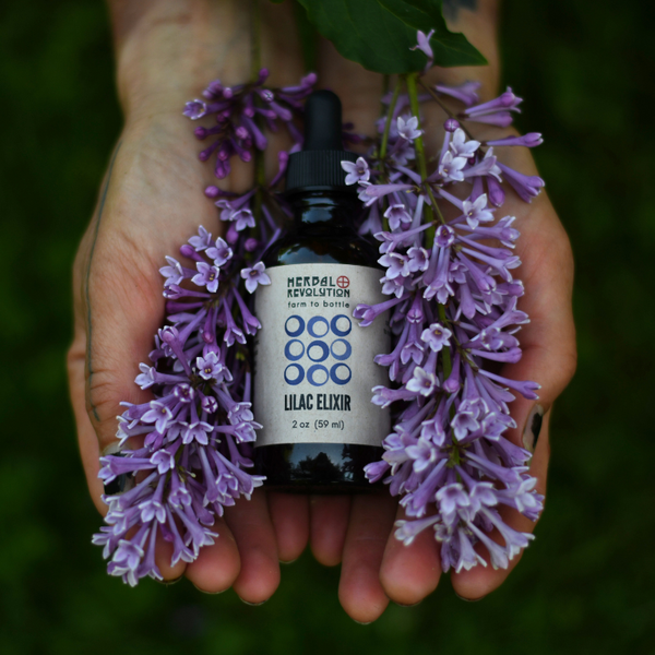 Lilac Elixir - Herbal Revolution