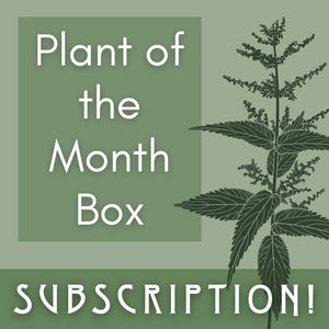 Plant of the Month Box Subscription