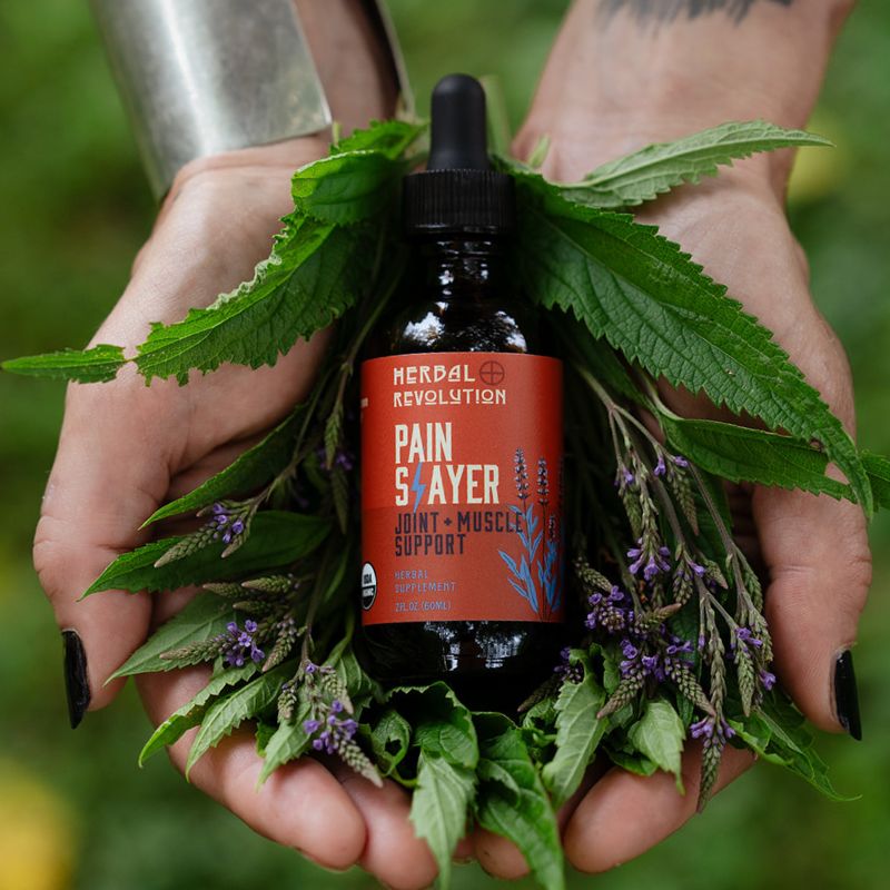 Pain Slayer Joint + Muscle Support Elixir