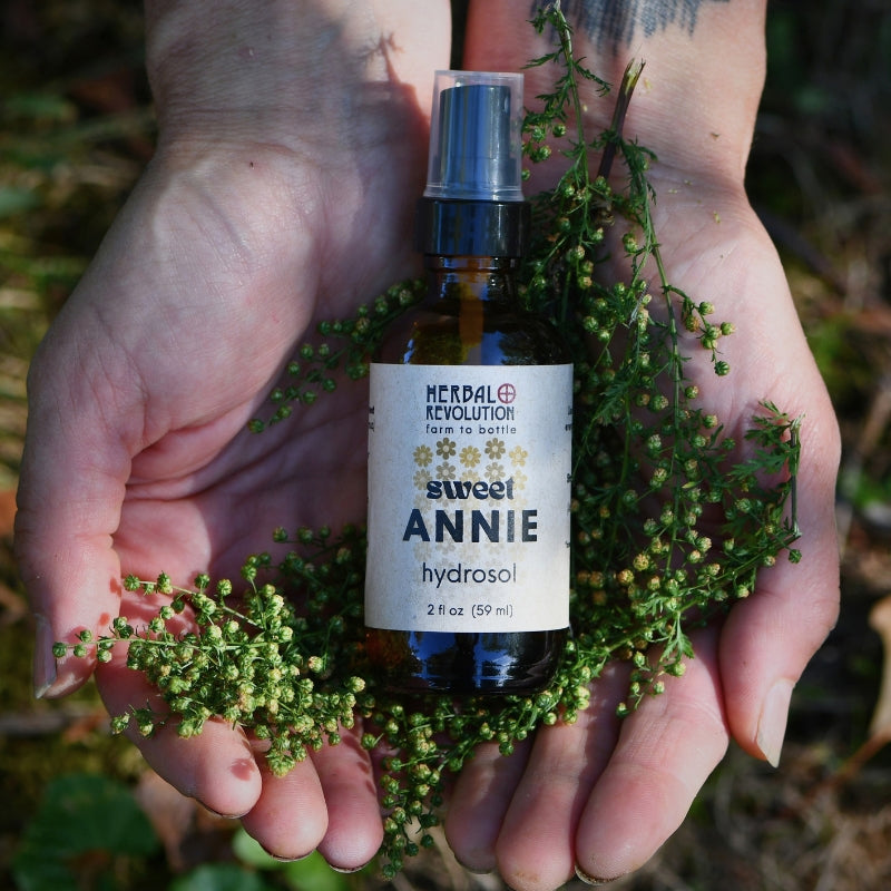 Sweet Annie Hydrosol