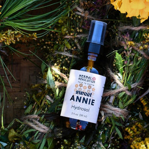 Sweet Annie Hydrosol