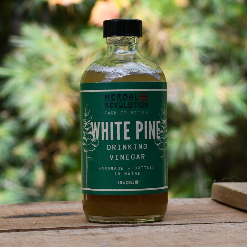 White Pine Shrub || Drinking Vinegar