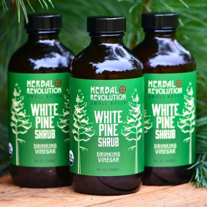 White Pine Shrub || Drinking Vinegar