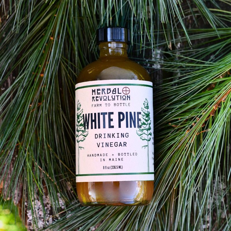 White Pine Shrub || Drinking Vinegar