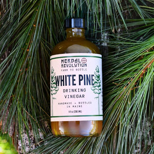 White Pine Shrub || Drinking Vinegar