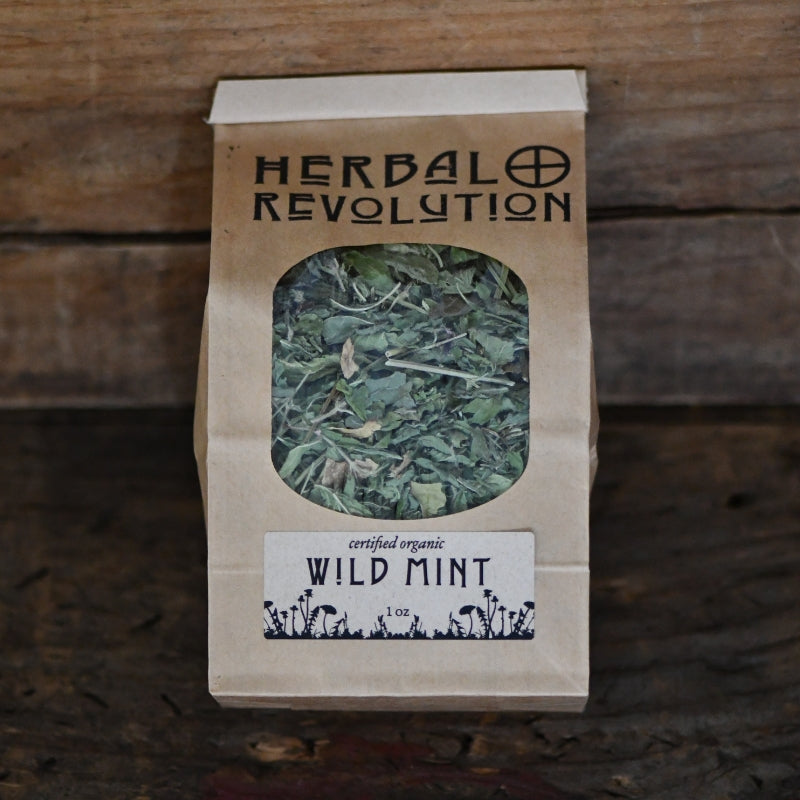 Dried Wild Mint
