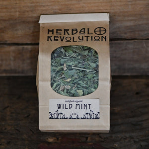 Dried Wild Mint