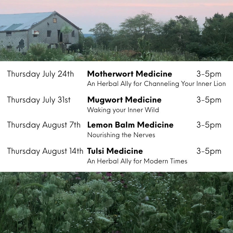 Tulsi Medicine Workshop: An Herbal Ally for Modern Times