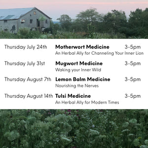 Tulsi Medicine Workshop: An Herbal Ally for Modern Times