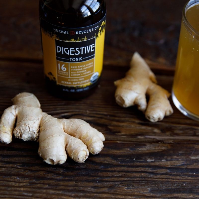Digestive Tonic: raw apple cider vinegar infused with ginger, lemon and herbs by Herbal Revolution Maine