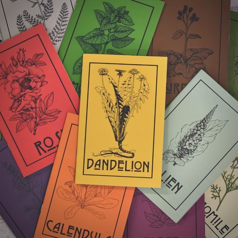 Plant of the Month Zines