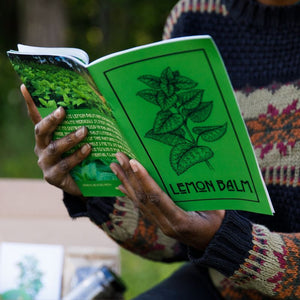 Plant of the Month Zines