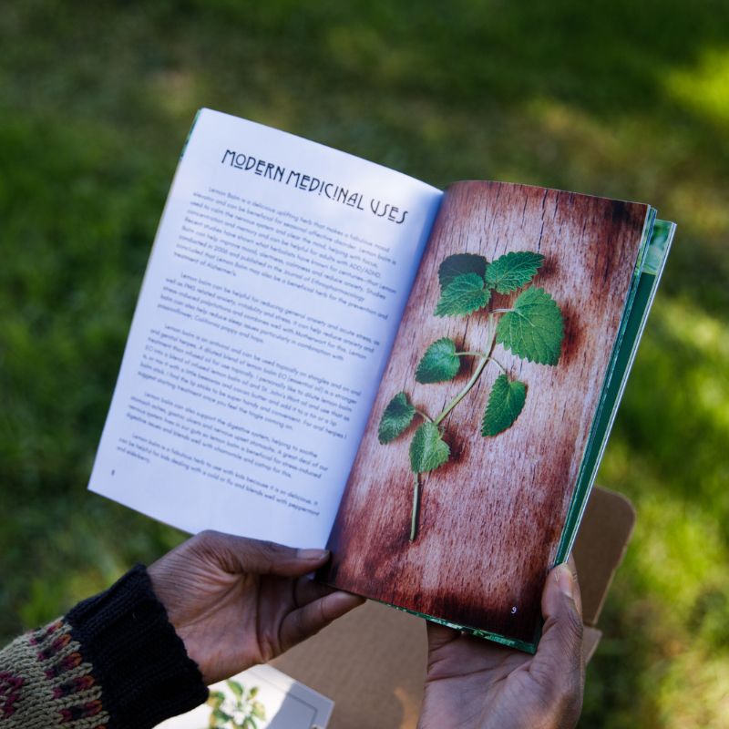 Plant of the Month Zines