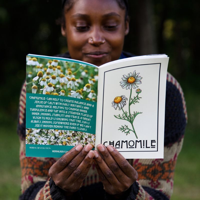 Plant of the Month Zines