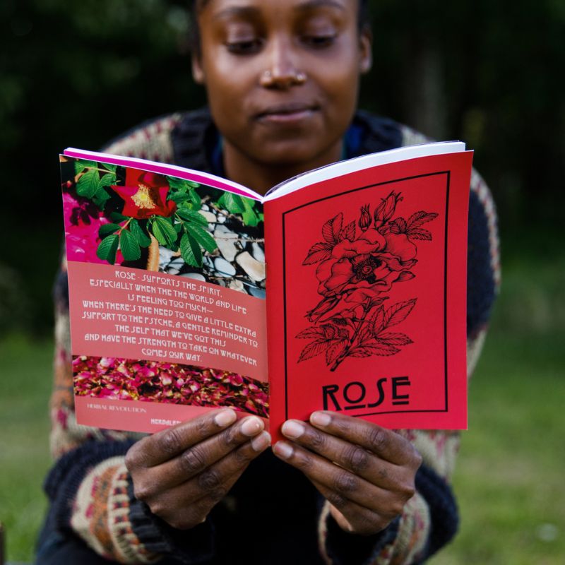 Plant of the Month Zines