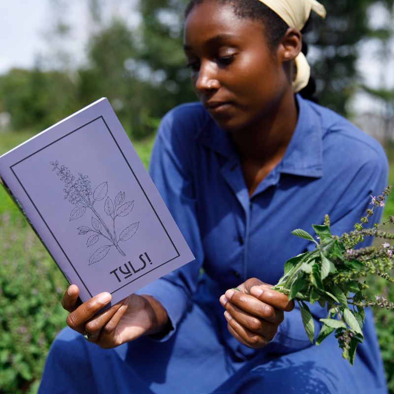 Plant of the Month Zines