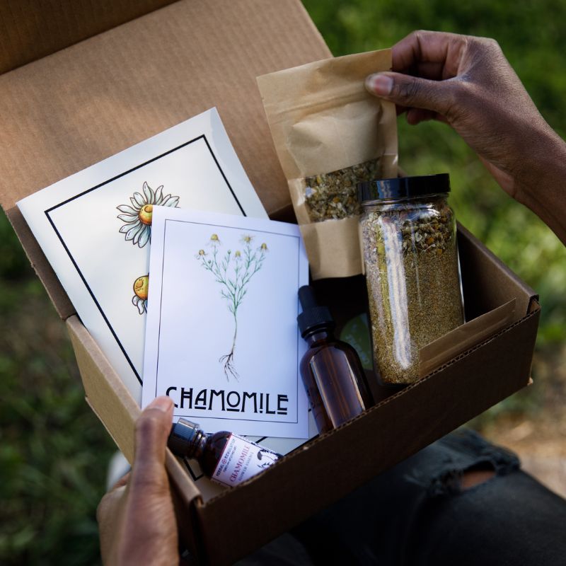 Plant of the Month Individual Boxes - Herbal Revolution