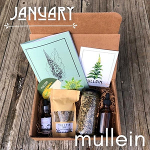 Plant of the Month Box Subscription
