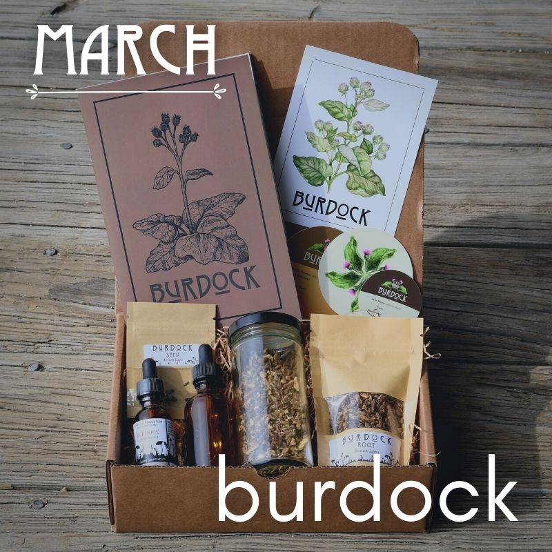 Plant of the Month Box Subscription