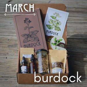 Plant of the Month Box Subscription