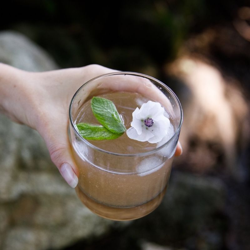 Rose Petal Shrub || Drinking Vinegar