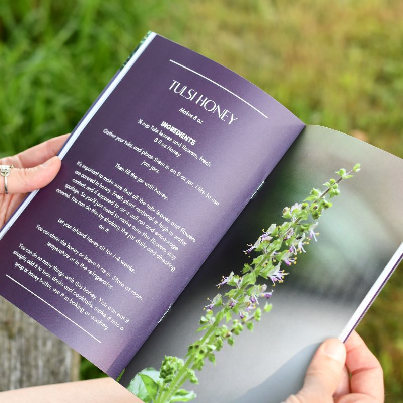 Plant of the Month Zines